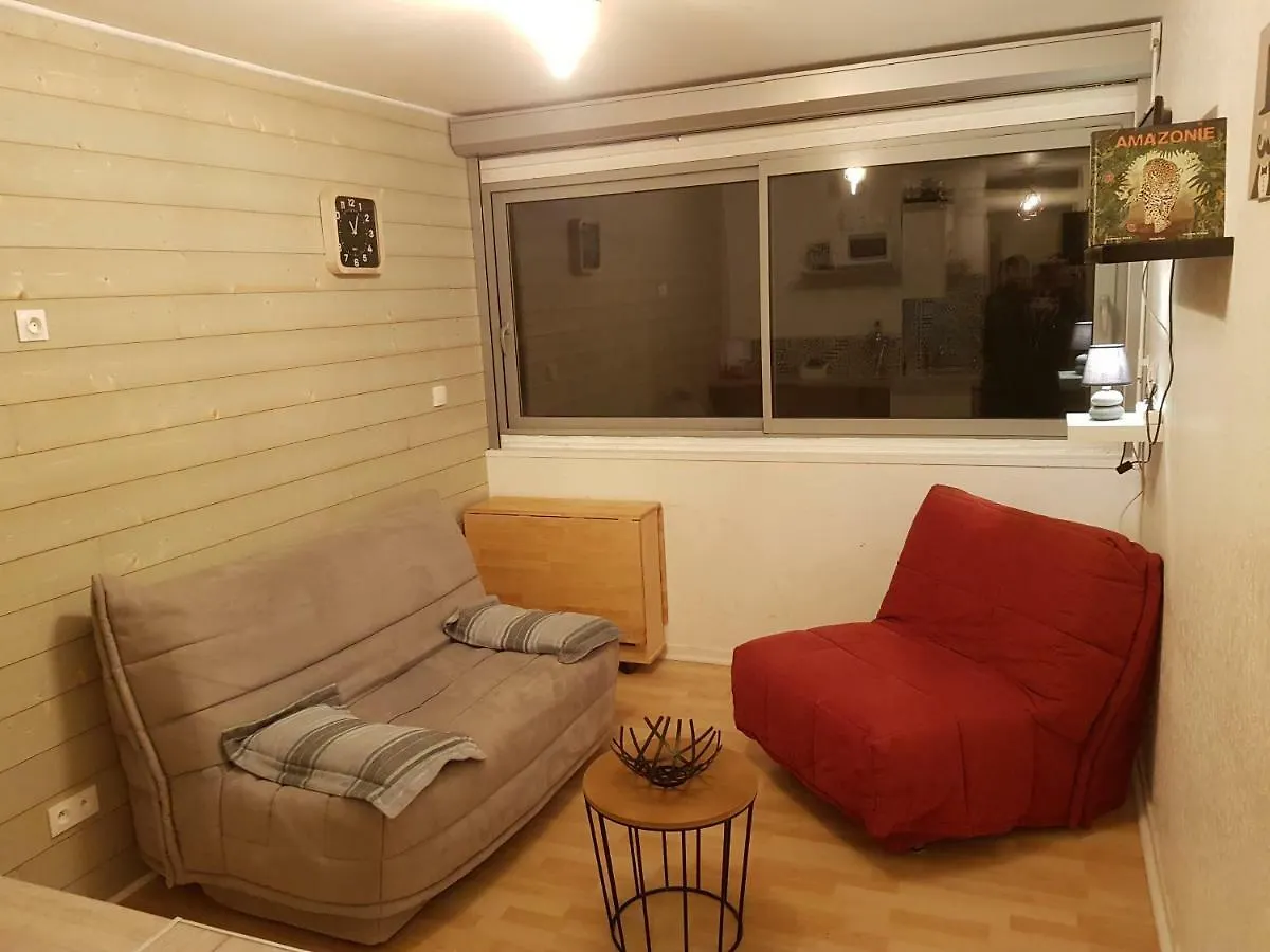 Appartement Piste Verte à Besse-et-Saint-Anastaise 0*,  France